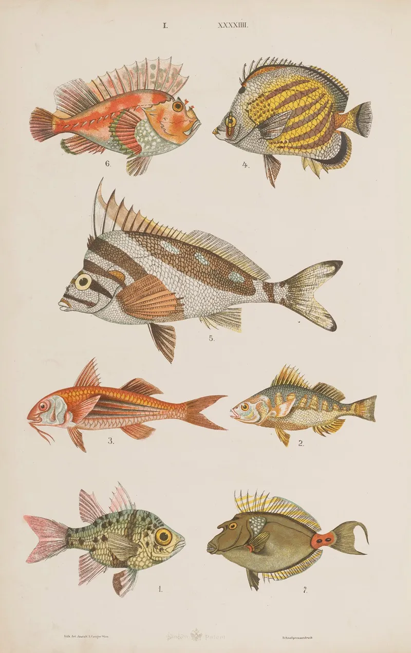 Wielki Atlas Do Zoologii Botaniki I Mineralogii Pl 044 Wall Art by Gustav von Hayek - High-Resolution Digital Print