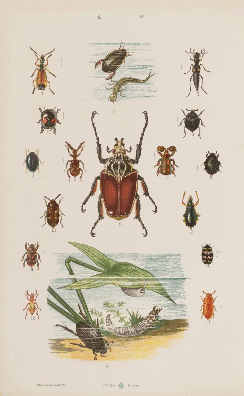 Wielki Atlas Do Zoologii Botaniki I Mineralogii Pl 056 Wall Art by Gustav von Hayek - High-Resolution Digital Print