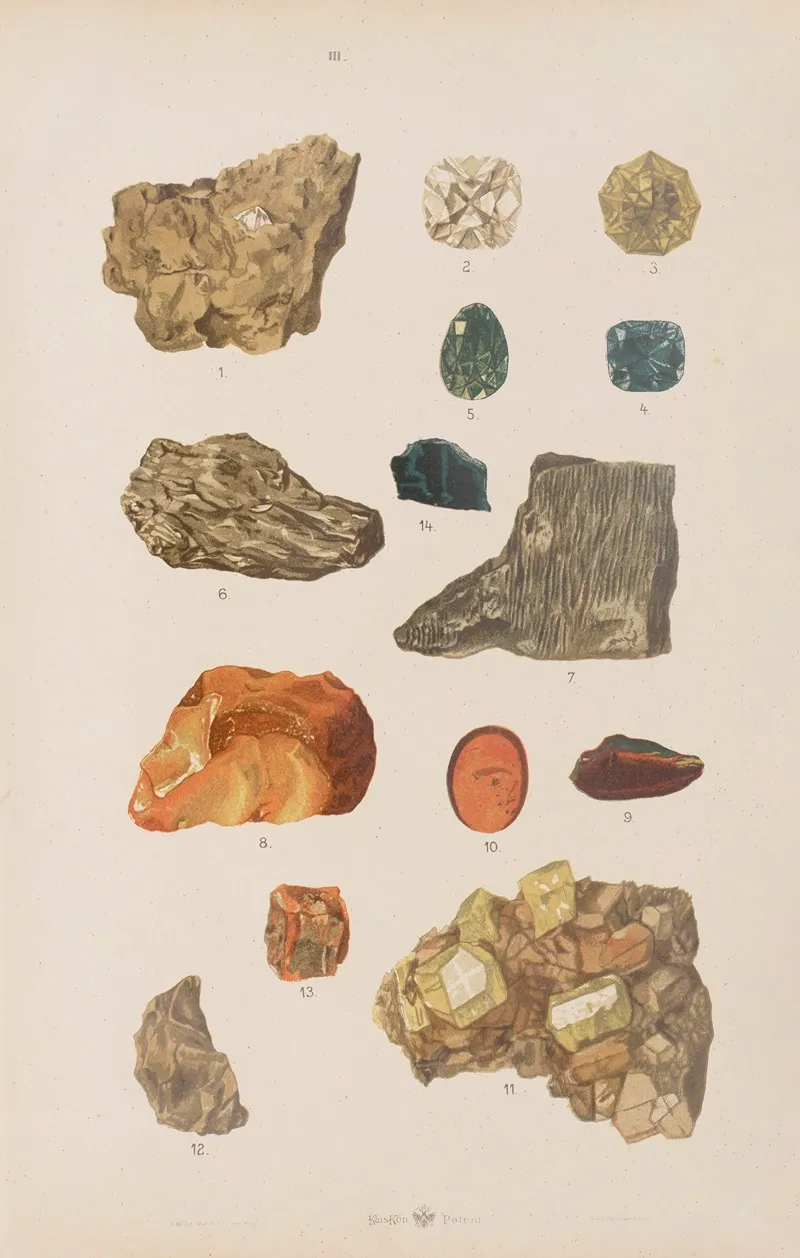 Wielki Atlas Do Zoologii Botaniki I Mineralogii Pl 113 Wall Art by Gustav von Hayek - High-Resolution Digital Print