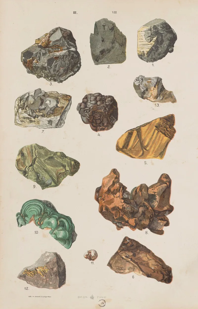 Wielki Atlas Do Zoologii Botaniki I Mineralogii Pl 120 Wall Art by Gustav von Hayek - High-Resolution Digital Print