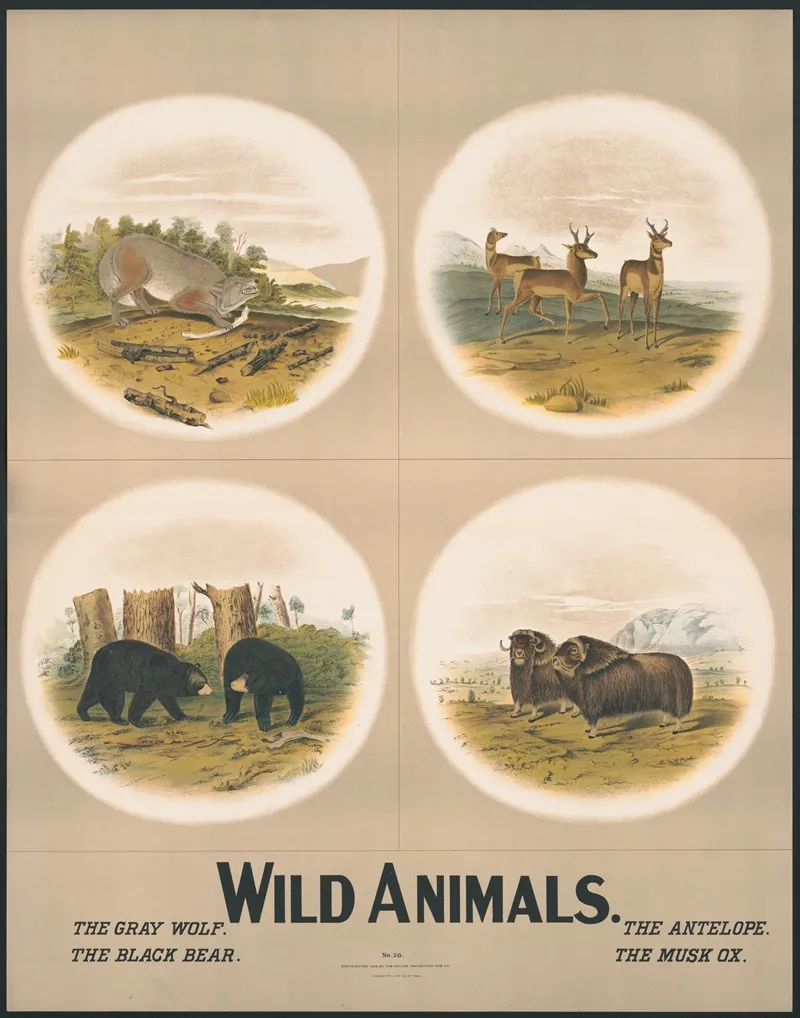 Wild Animals 3 Wall Art by H.M. Smyth Lith. Co. - High-Resolution Digital Print