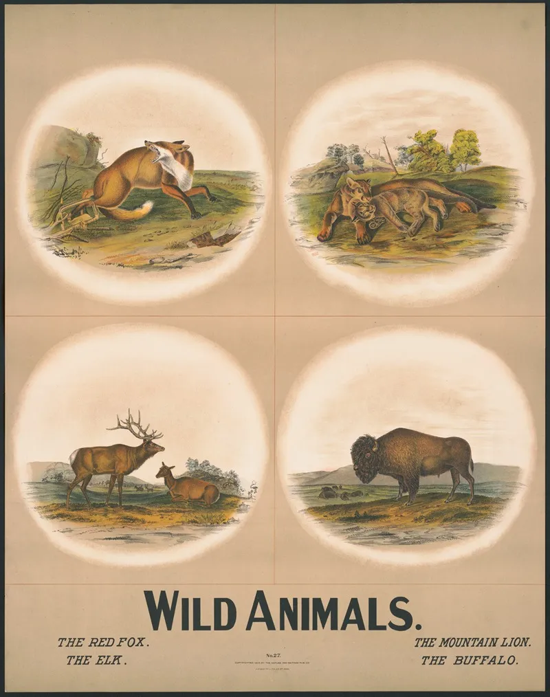 Wild Animals 4 Wall Art by H.M. Smyth Lith. Co. - High-Resolution Digital Print