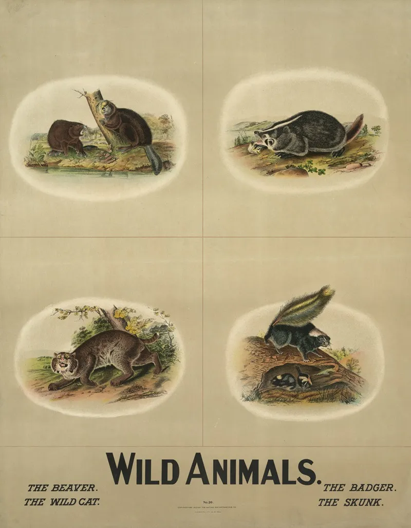 Wild Animals Wall Art by H.M. Smyth Lith. Co. - High-Resolution Digital Print