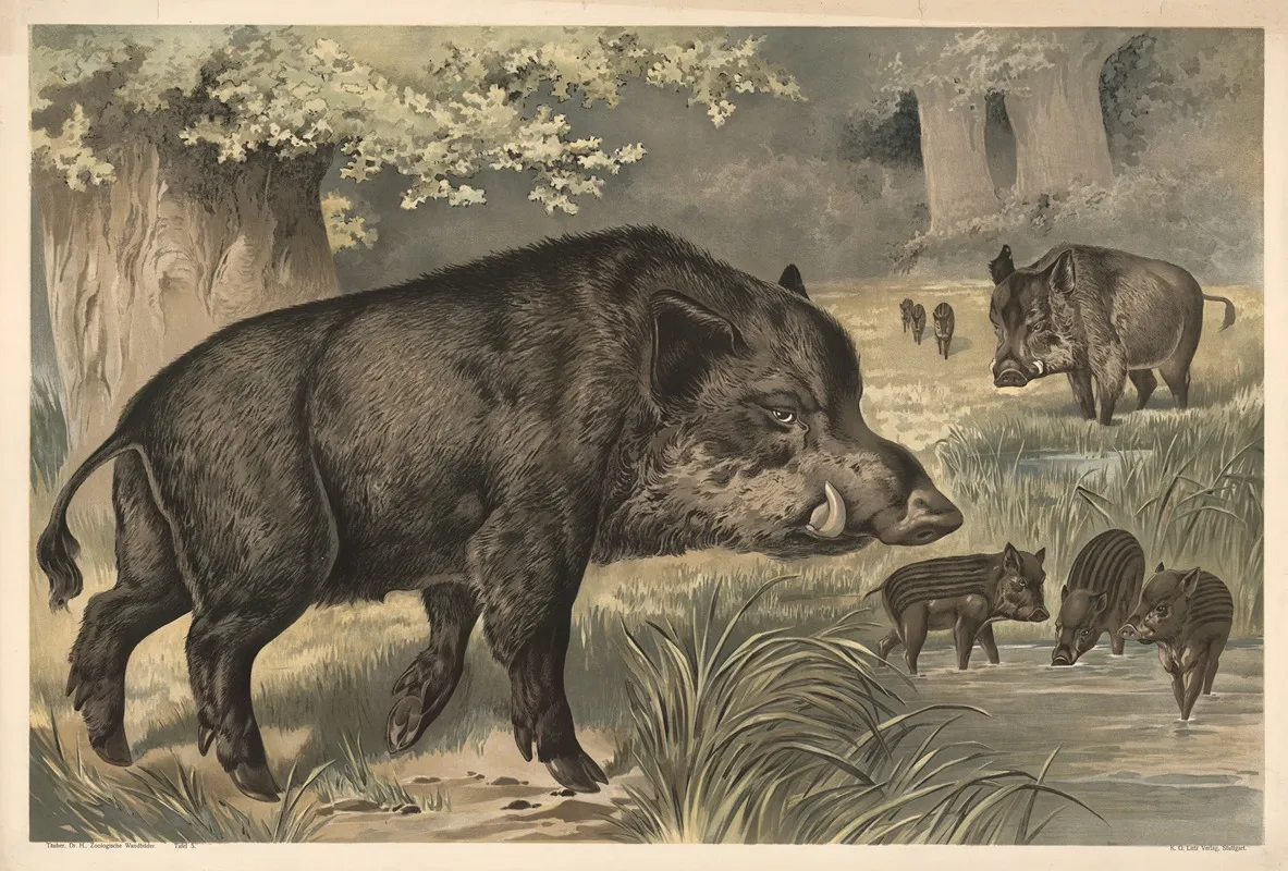 Wild Boar 4 Wall Art by Alfred Fiedler - High-Resolution Digital Print