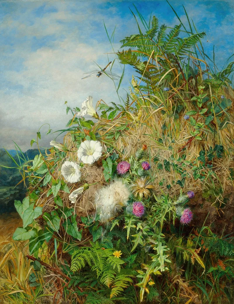 Wild Flowers At The Corner Of A Cornfield Wall Art by Martha Darley Mutrie - High-Resolution Digital Print