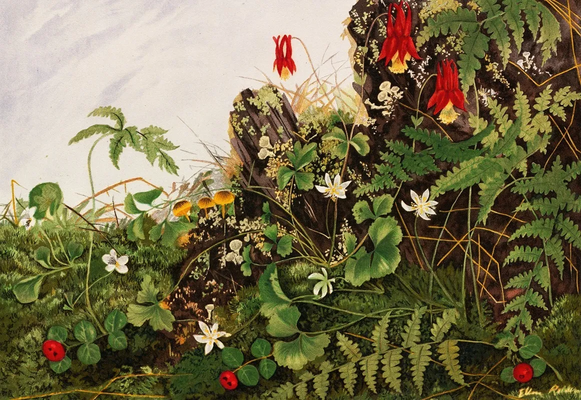 Wild Flowers No 1 Wall Art by Ellen Robbins - High-Resolution Digital Print