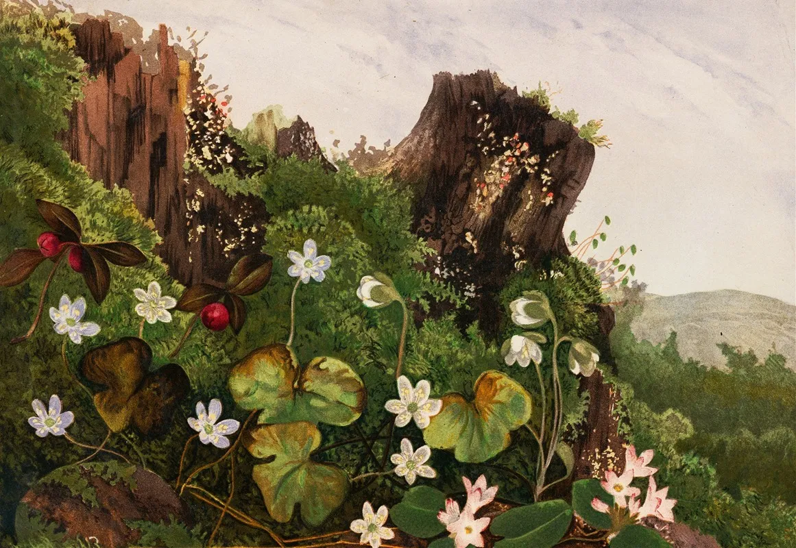 Wild Flowers No 2 Wall Art by Ellen Robbins - High-Resolution Digital Print