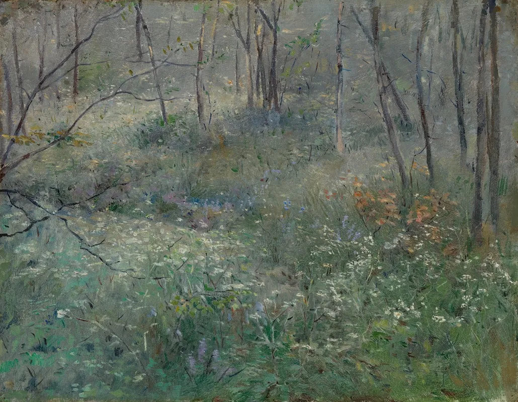 Wild Parsley