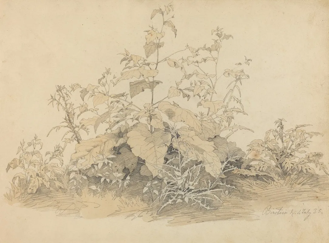 Wild Plants Near Birstein Wall Art by Johann Christian Heerdt - High-Resolution Digital Print