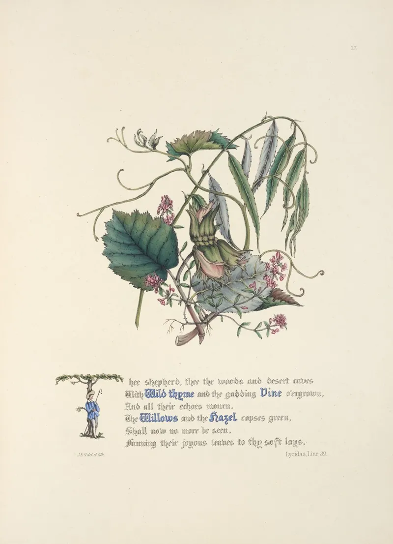 Wild Thyme Vine Willows And Hazel Wall Art by Jane Elizabeth Giraud - High-Resolution Digital Print