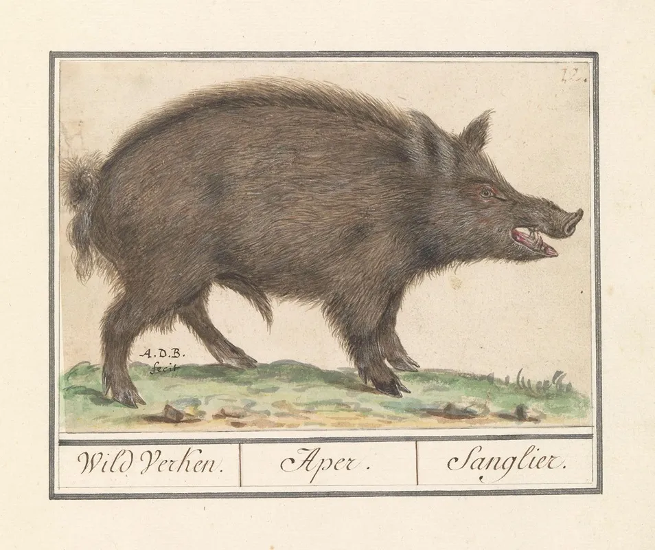 Wild Zwijn Sus Scrofa Wild Verken Aper Sanglier Wall Art by Anselmus Boëtius de Boodt - High-Resolution Digital Print