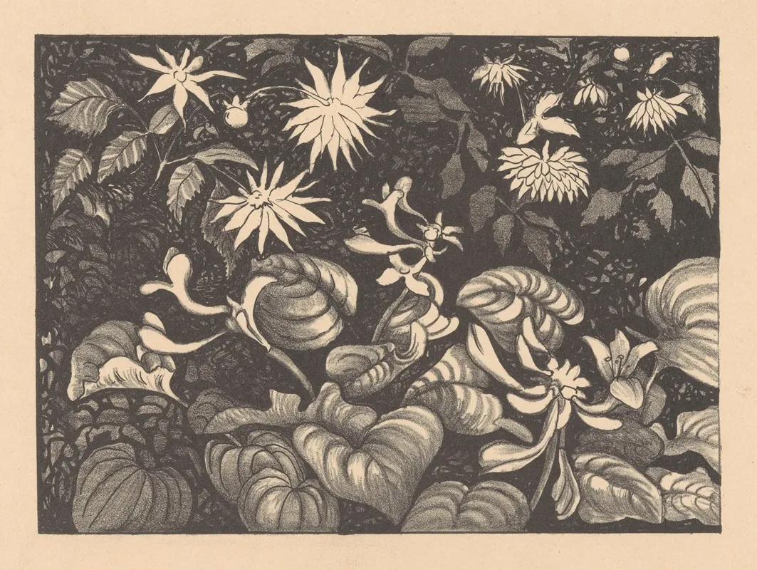 Wilde Planten En Bloemen