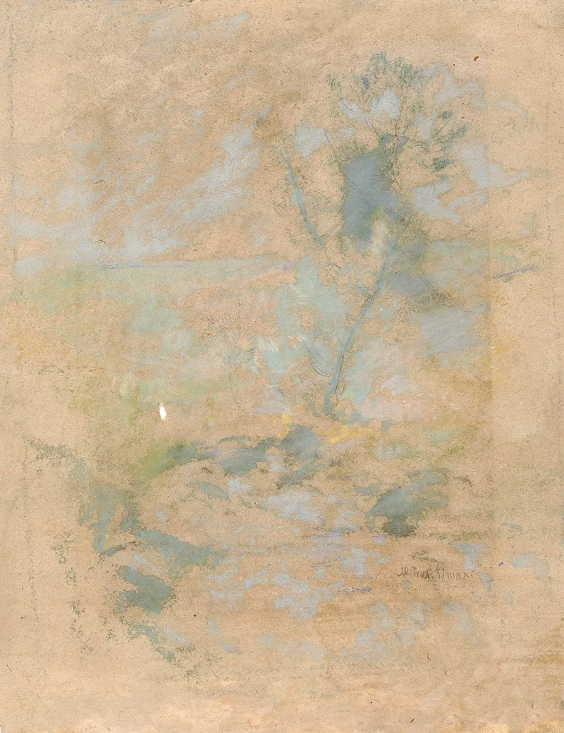 Willow 2
