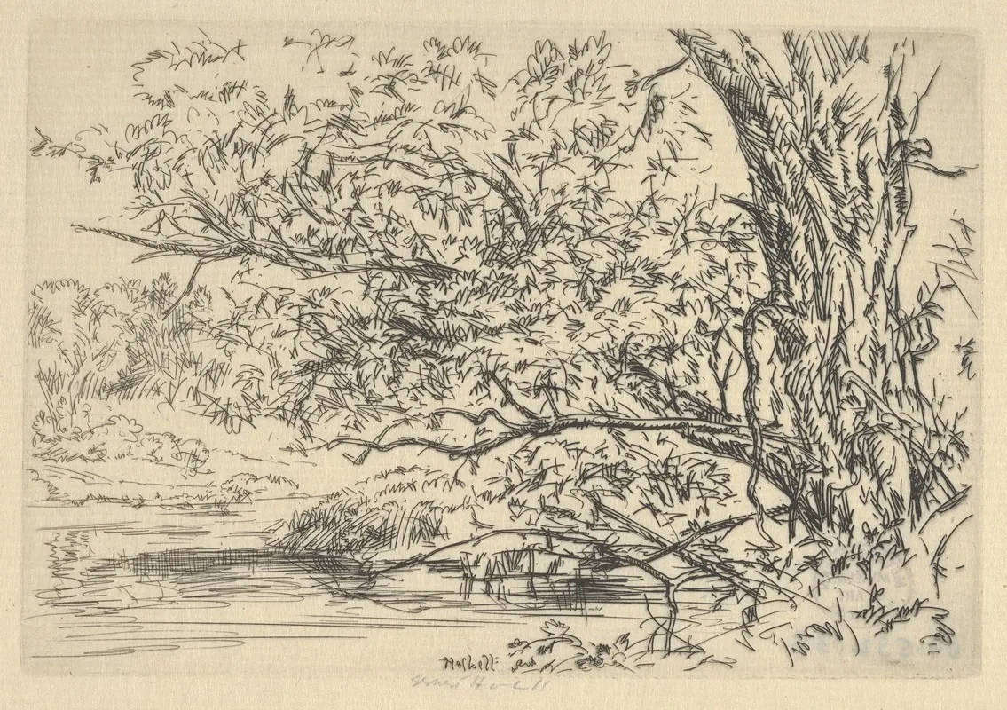Willow And Water
