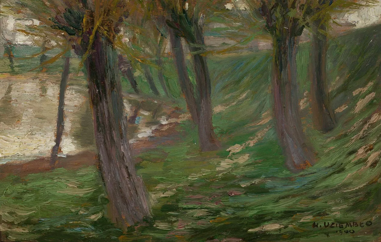Willows At A Pond