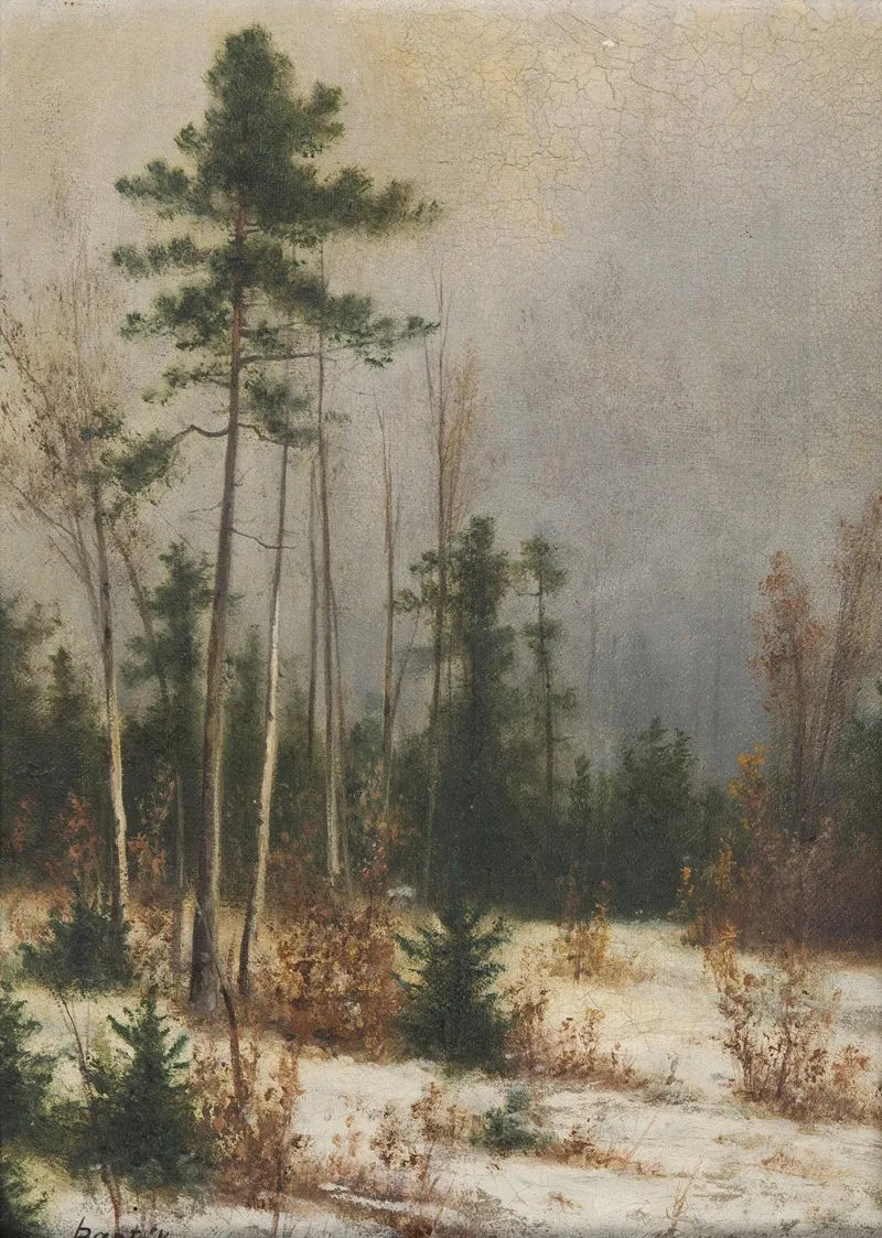 Winter Forest 2