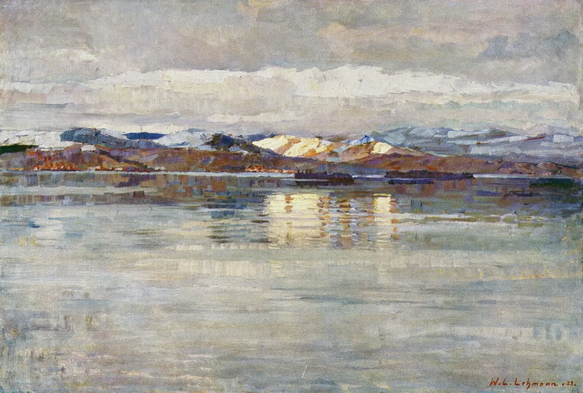 Winterstimmung Am Zurichsee