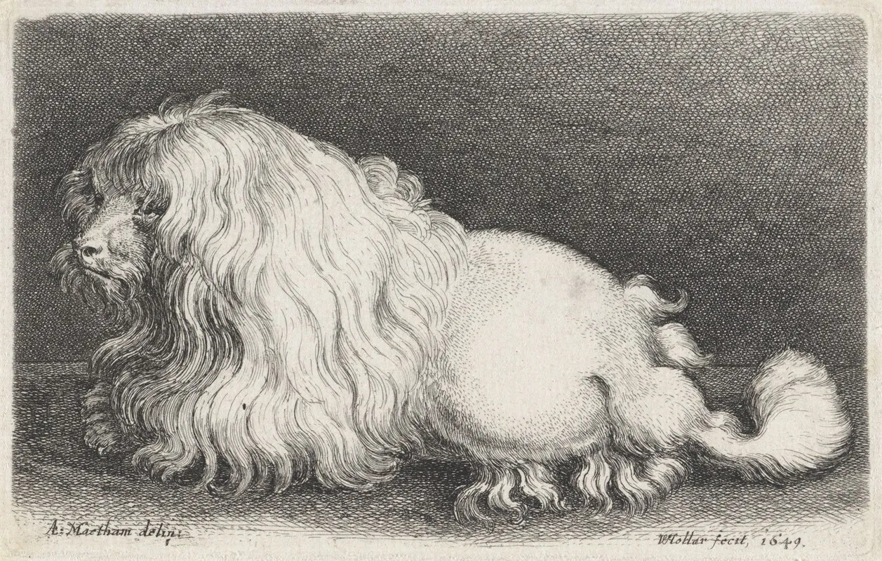 Witte Hond