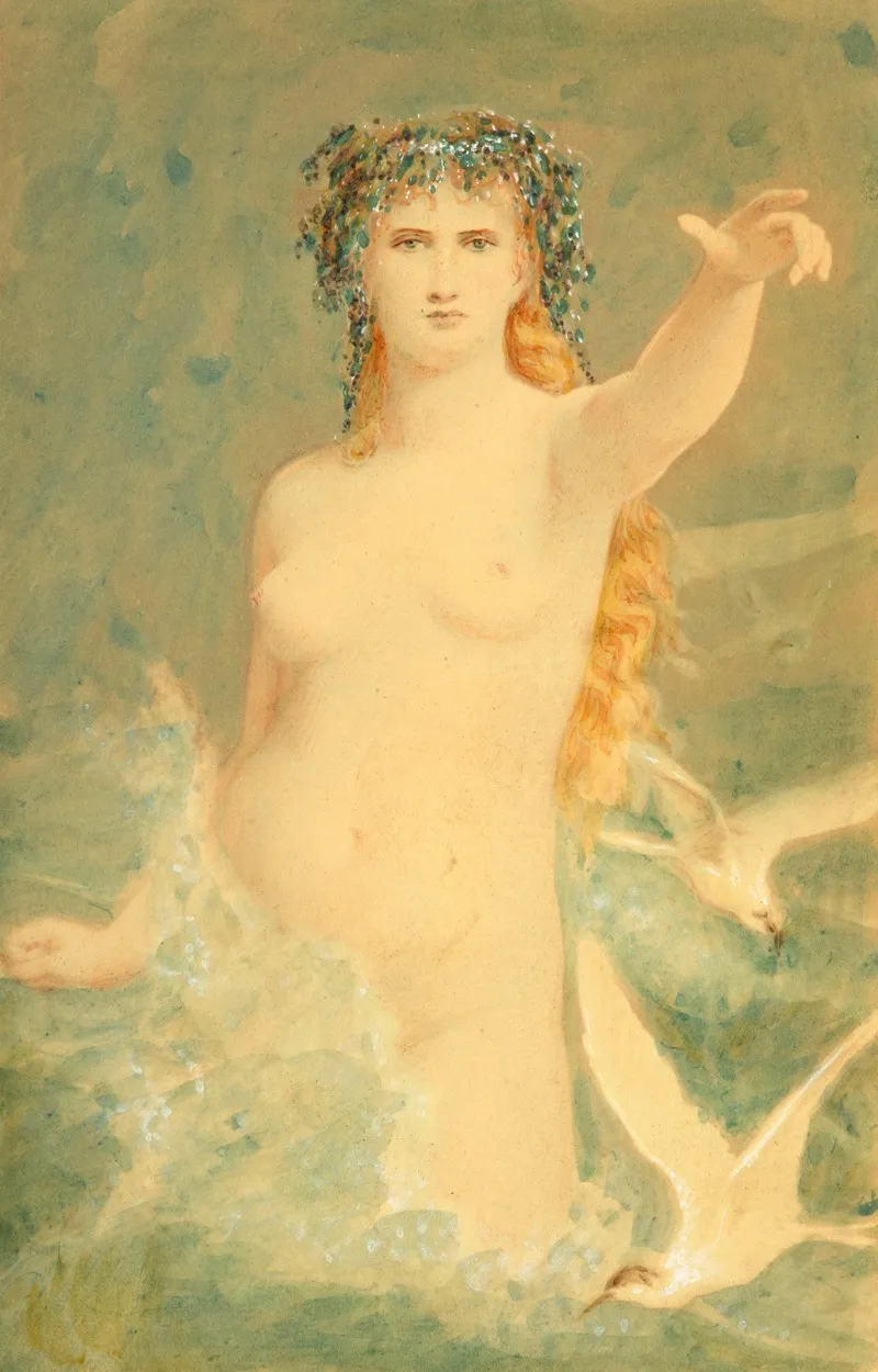 Woman With Seagull