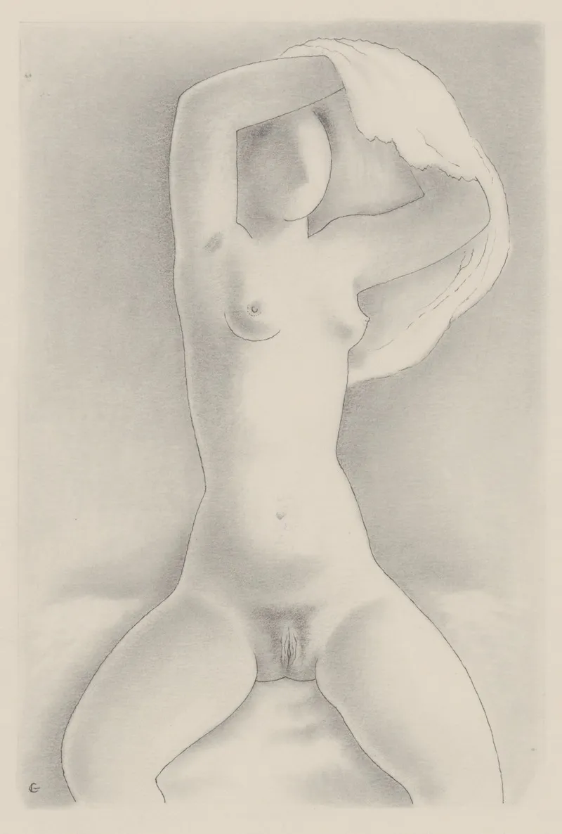 Woman With Shirt Viii