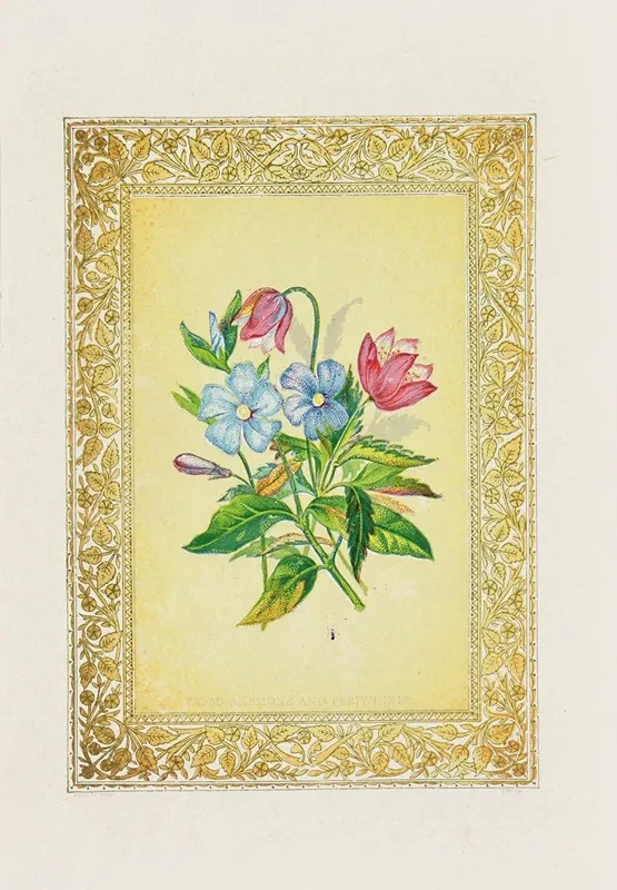 Wood Anemone Periwinkle Wall Art by John Henry Ingram - High-Resolution Digital Print