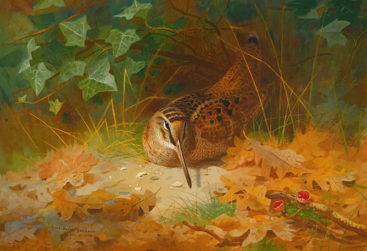 Woodcock 2 Wall Art by Archibald Thorburn - High-Resolution Digital Print