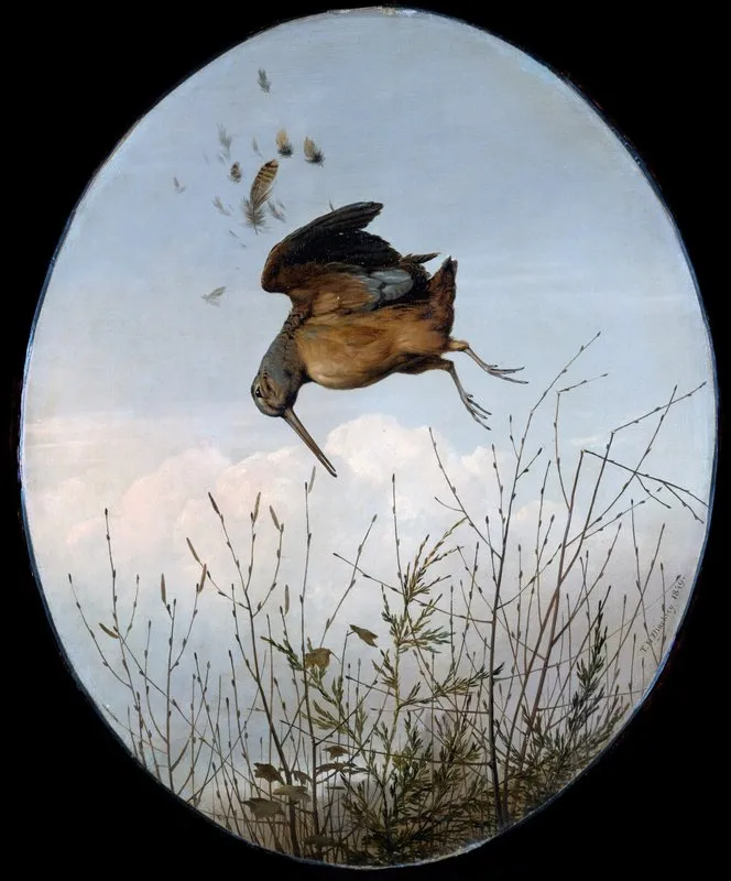 Woodcock 4 Wall Art by Thomas Hewes Hinckley - High-Resolution Digital Print