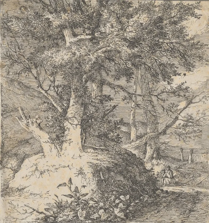 Wooded Landscape 20