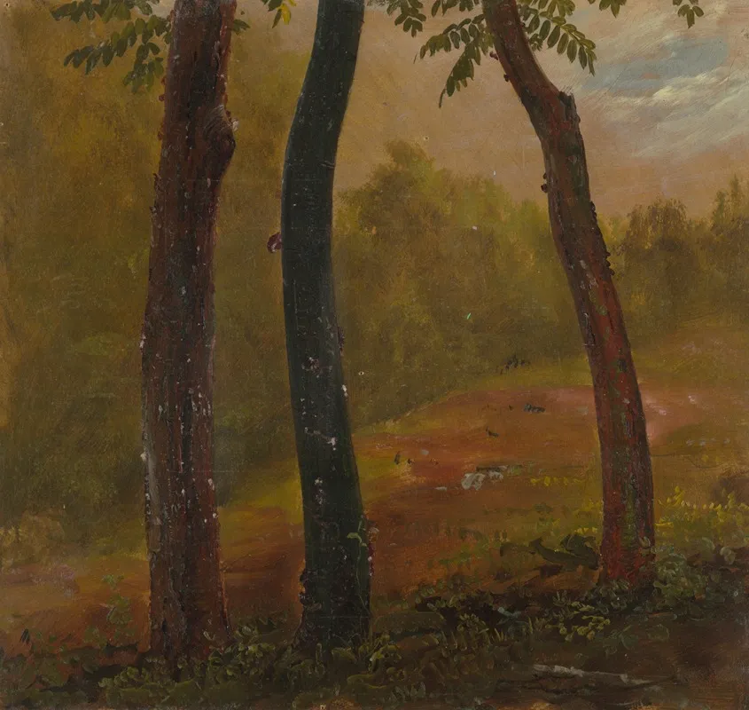 Woodland Scene Jamaica
