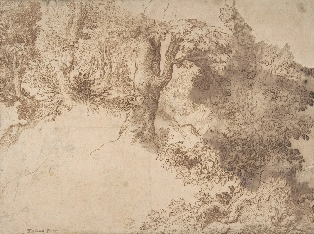 Woodland Scene With Light Sketch Of A Madonna And Child Wall Art by Girolamo Muziano - High-Resolution Digital Print