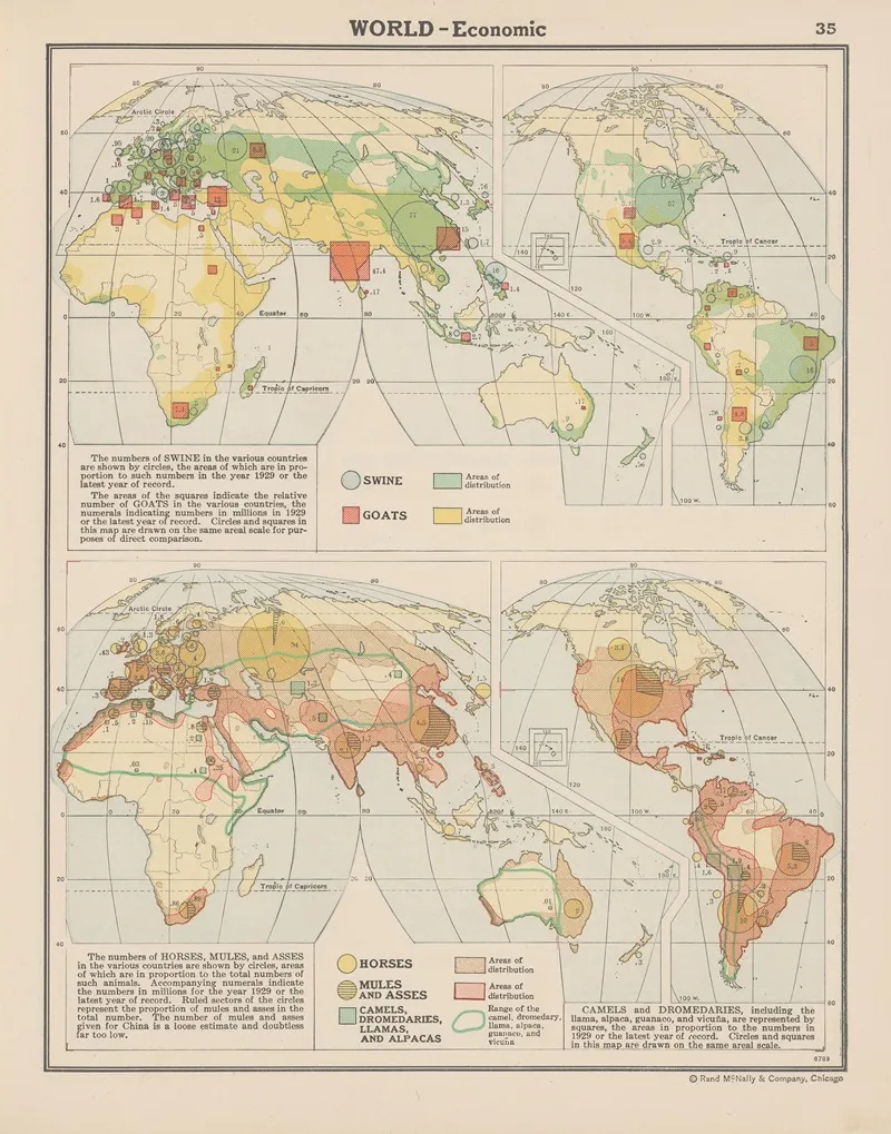 World Economic Swine Goats Horses Mules Asses And Camels Wall Art by John Paul Goode - High-Resolution Digital Print