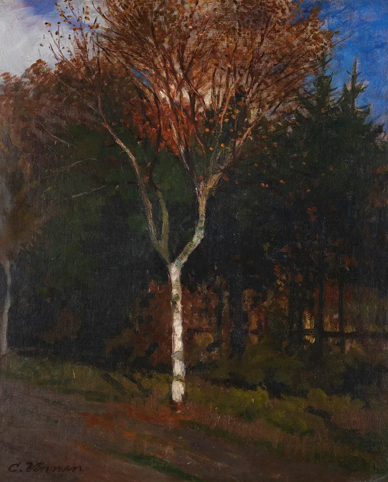Worpsweder Landschaft Junge Birke Am Wegesrand