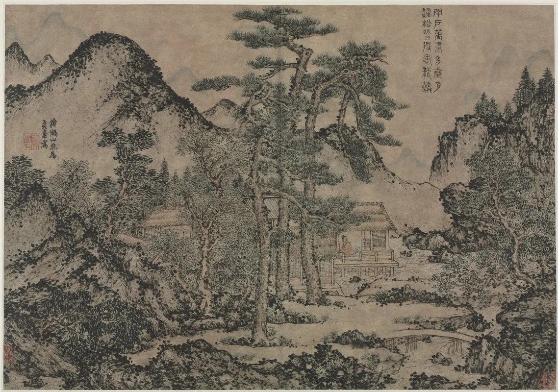 Writing Books Under The Pine Trees