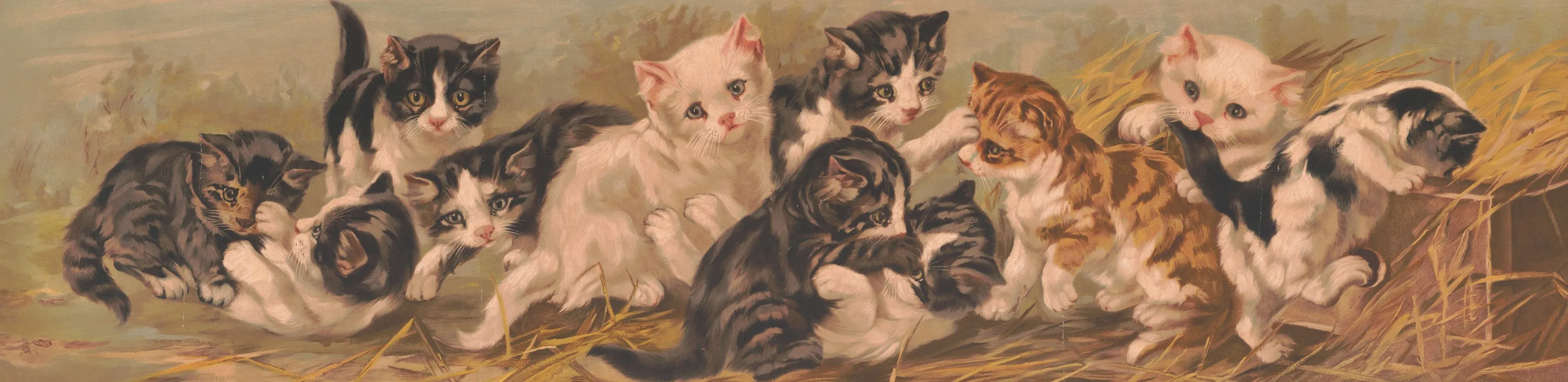 Yard Of Cats
