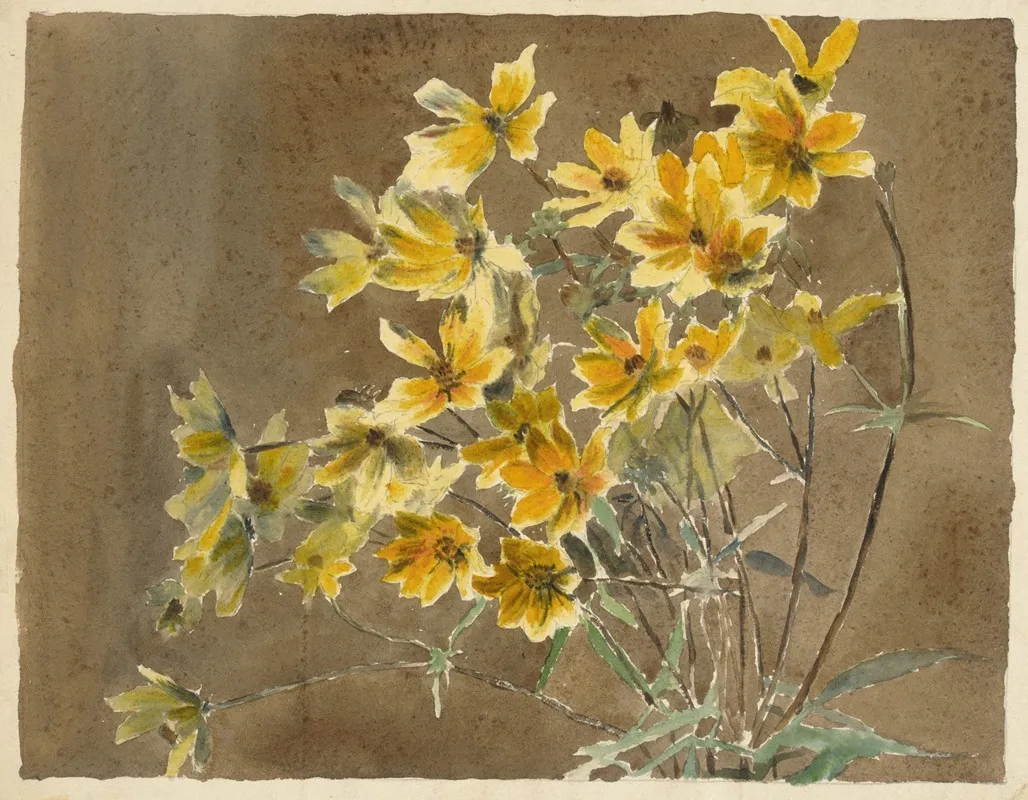 Yellow And Orange Flower