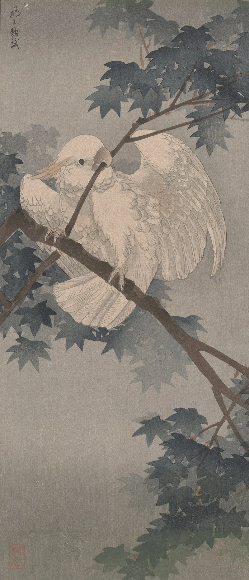 Yellow Crested Cockatoo In Tree Wall Art by Ohara Koson - High-Resolution Digital Print