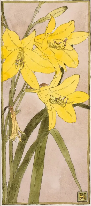 Yellow Daylily
