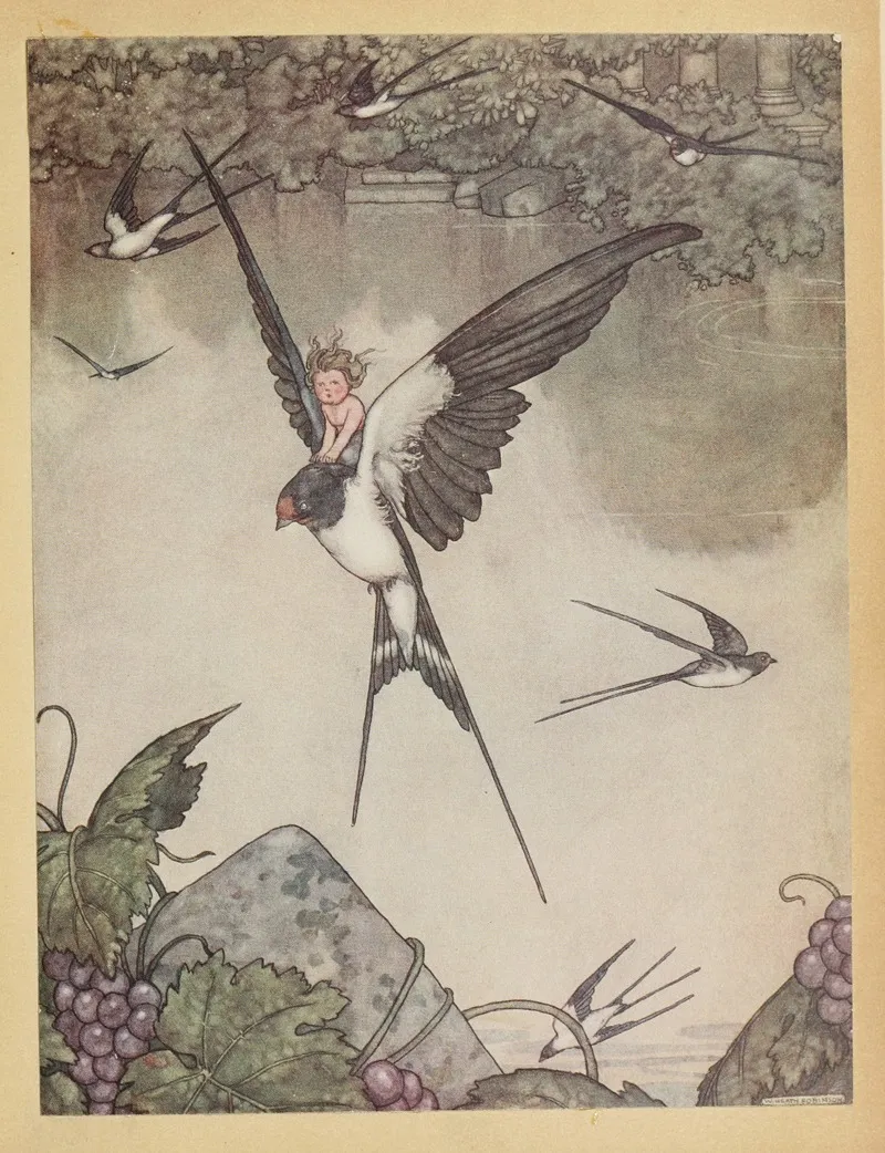 Yes I Will Go With Thee Said Tommelise And She Seated Herself On The Birds Back