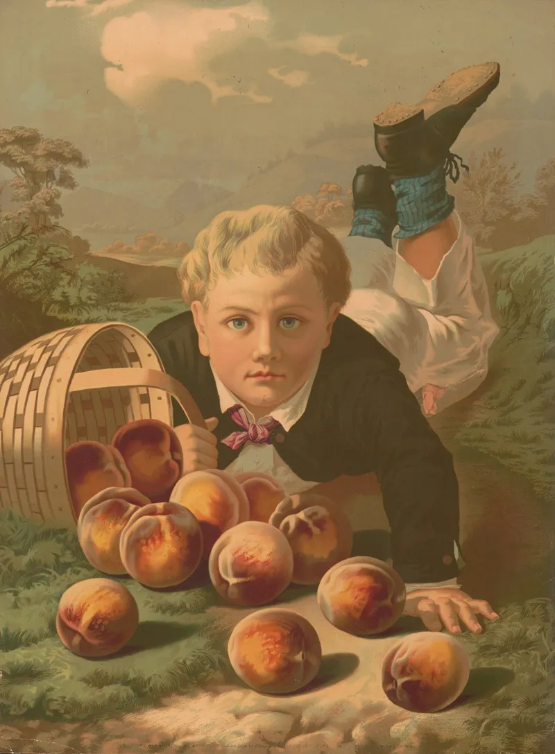 Young Boy On The Ground After He Has Fallen With A Basket Of Spilled Peaches