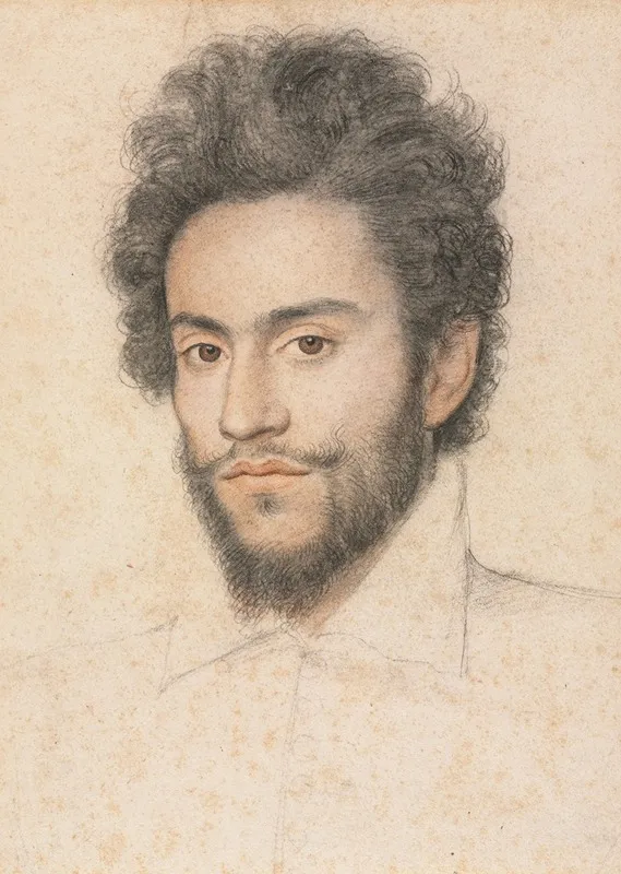 Young Man With A Beard Wall Art by François Quesnel - High-Resolution Digital Print