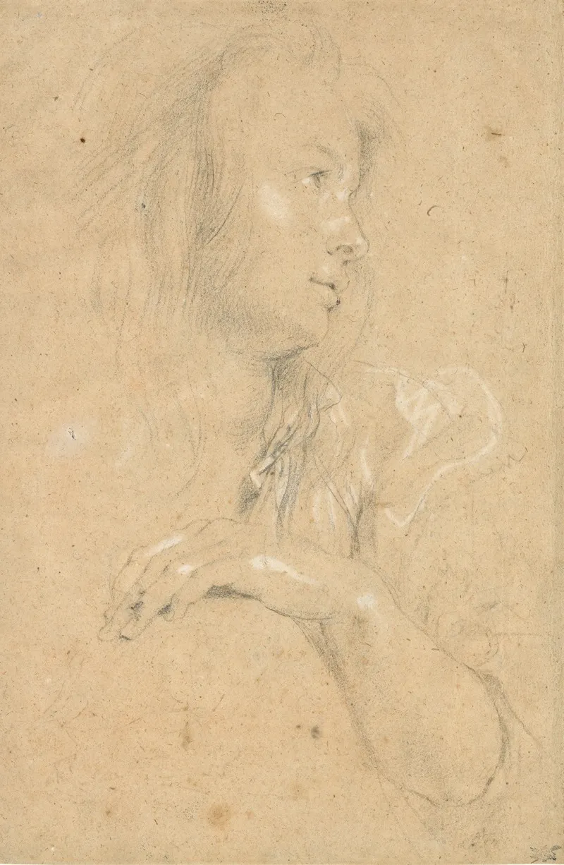 Young Woman In Profile 2