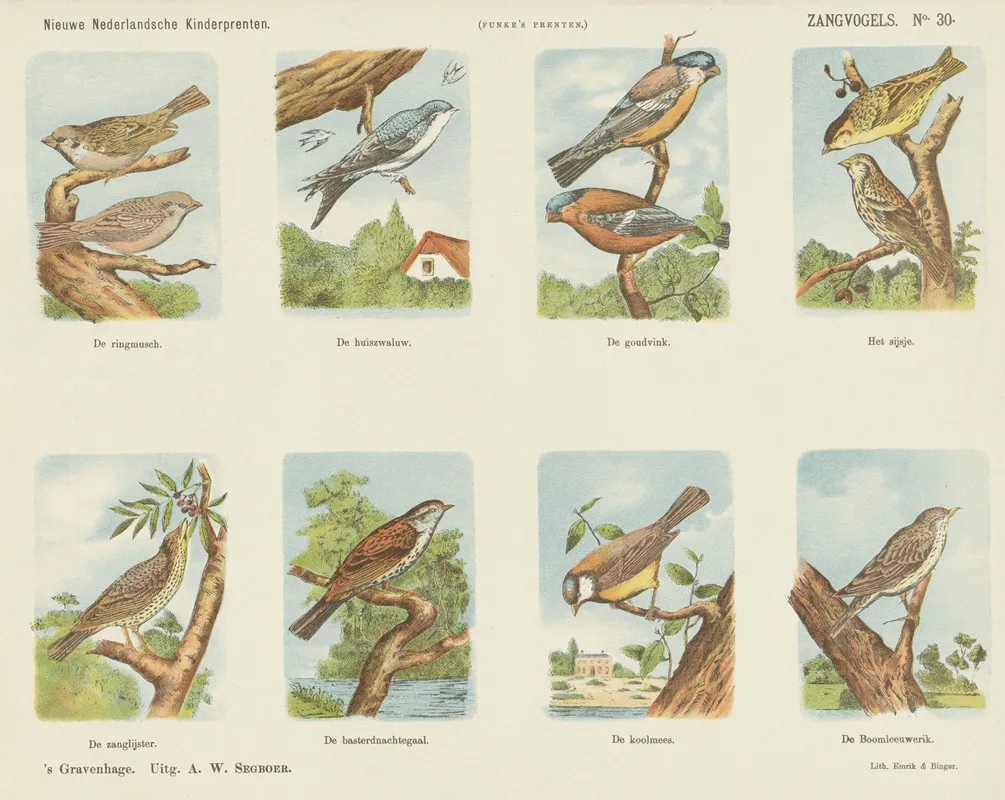 Zangvogels