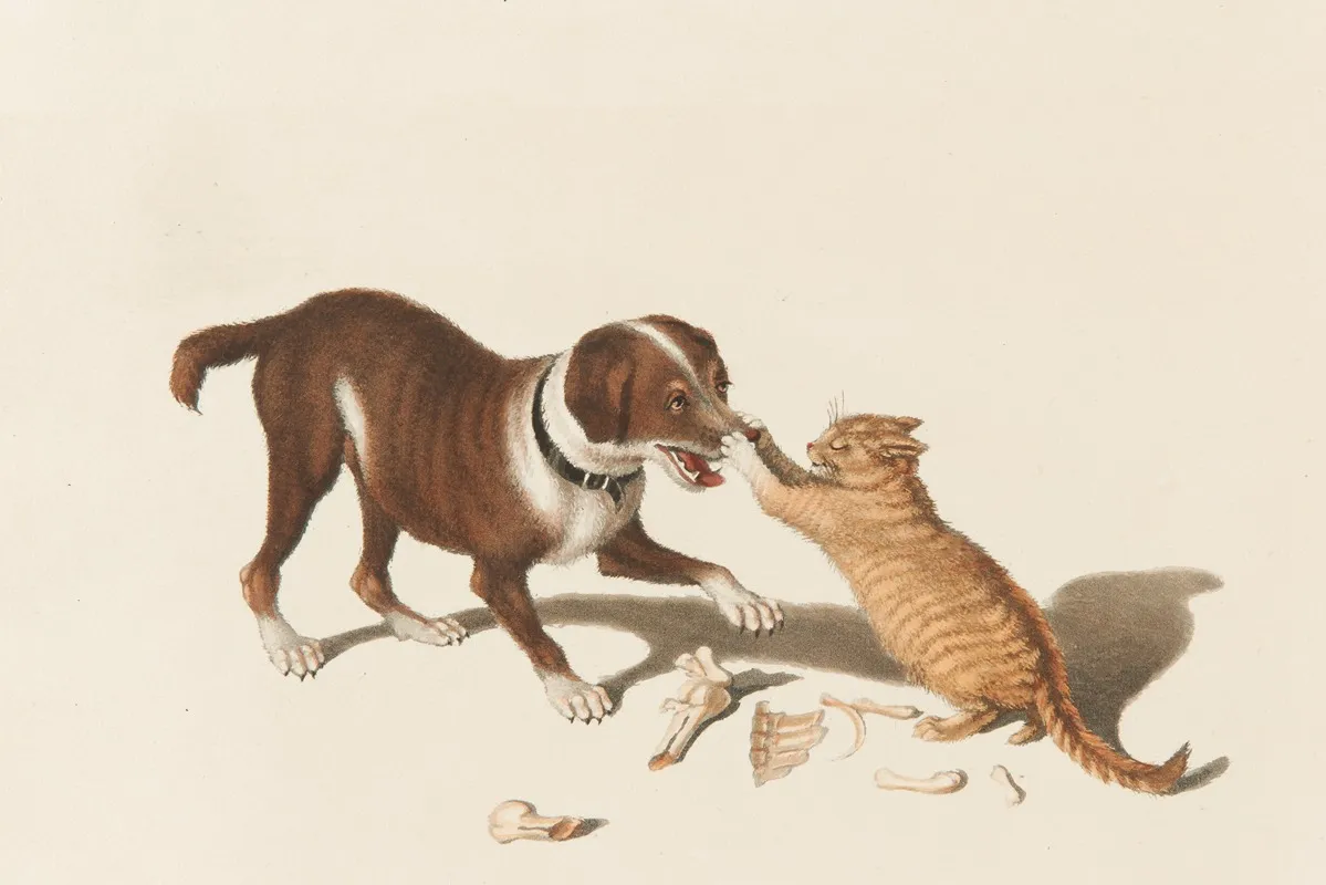 Zankender Hund Und Katze Wall Art by Gottfried Mind - High-Resolution Digital Print
