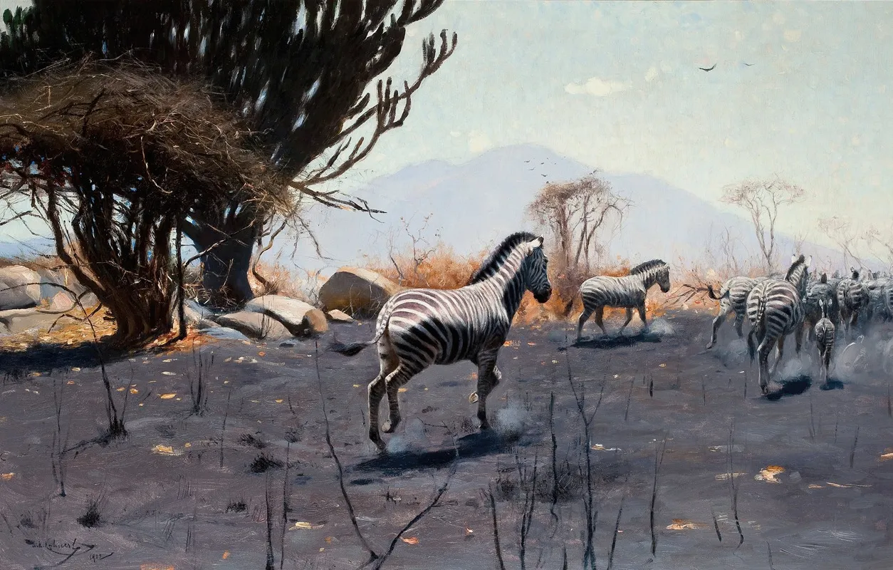 Zebras 2