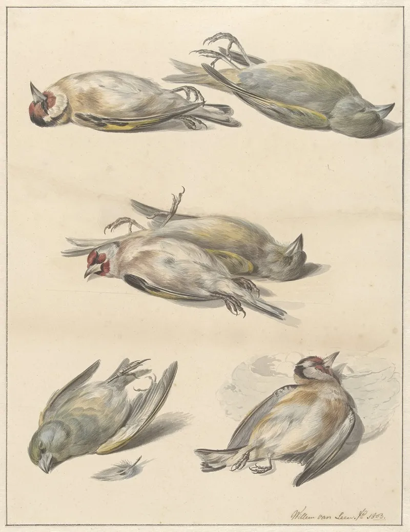 Zes Dode Vogeltjes