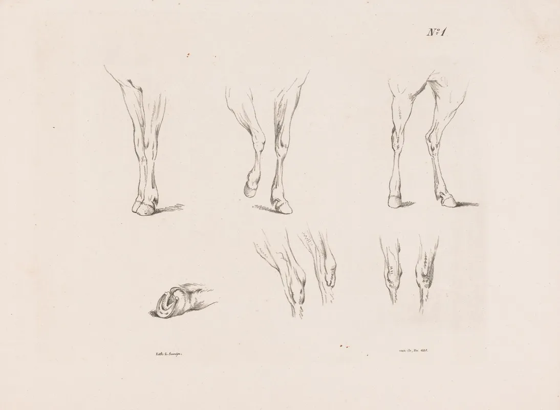 Zes Studies Van Paardenbenen Wall Art by Pieter Frederik van Os - High-Resolution Digital Print