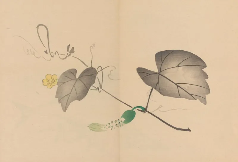 Zeshin Iboku Tairyukyo Gafu Pl 04