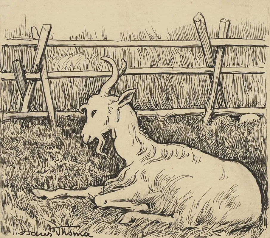 Ziege 3