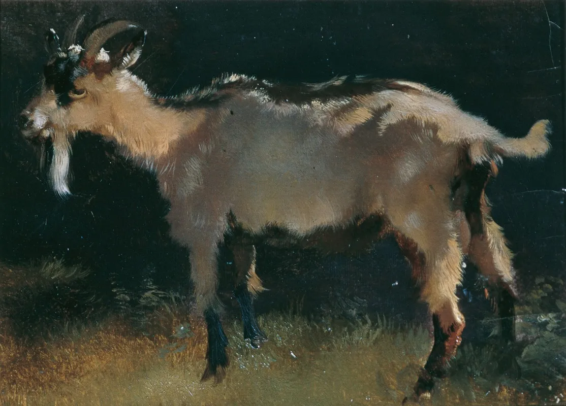 Ziege
