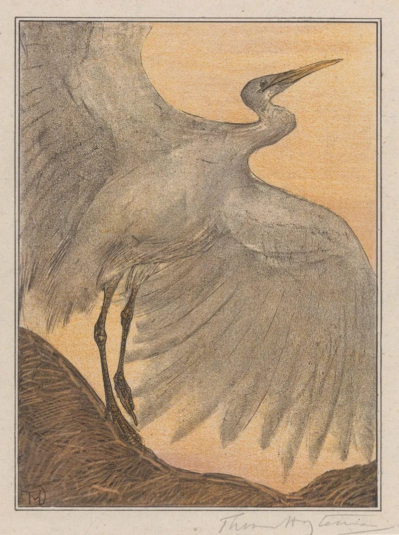 Zilverreiger